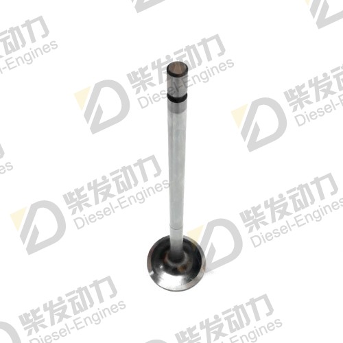 Inlet valve 3169490
